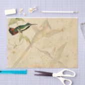 Elegant Hummingbird Seidenpapier (Handwerk)
