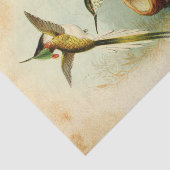 Elegant Hummingbirds Seidenpapier (Ausschnitt)