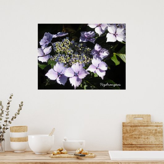 Elegant Hydrangeas Poster (Küche)