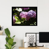 Elegant Hydrangeas Poster (Heimbüro)