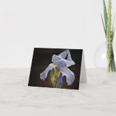 Elegant Iris Note Card Karte (Vorderseite)