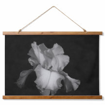 Elegant Iris Schwarz-weißes florales Foto