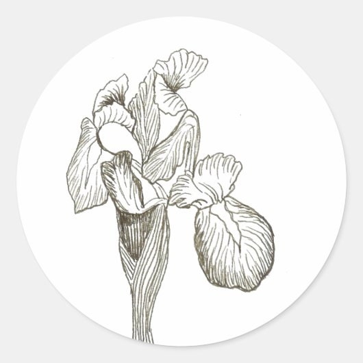 Elegant Iris Sticker (Vorderseite)