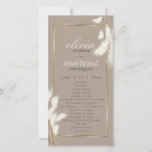 Elegant Ivory Pampas Grass Abby1 (Vorderseite)