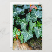 Elegant Ivy field stone boho botanisch Briefpapier (Vorne/Hinten)