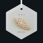 Elegant Junonia Beach Muschel  Ornament Aus Glas<br><div class="desc">Elegantes Junonia Beach Muschel Glasdekorat. Diese perfekte Junonia Beach Muschel ist fotografiert mit hochauflösender Makrofotografie und wird in der Junonia Beach Muschel Collection vorgestellt. Personalisieren Sie mit Ihren ersten Initialen und Namen oder nach Wunsch. Junonia-Weichtiere leben in Tiefen des Küstenmeeres von über 30 Metern, daher finden Beach Combers diese Edelsteine...</div>