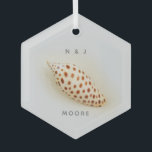 Elegant Junonia Beach Muschel  Ornament Aus Glas<br><div class="desc">Elegantes Junonia Beach Muschel Glasdekorat. Diese perfekte Junonia Beach Muschel ist fotografiert mit hochauflösender Makrofotografie und wird in der Junonia Beach Muschel Collection vorgestellt. Personalisieren Sie mit Ihren ersten Initialen und Namen oder nach Wunsch. Junonia-Weichtiere leben in Tiefen des Küstenmeeres von über 30 Metern, daher finden Beach Combers diese Edelsteine...</div>