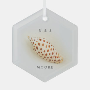 Elegant Junonia Beach Shell  Ornament Aus Glas