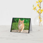 Elegant Kitty Karte (Gelbe Blume)