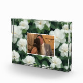 Elegant klassisch grün botanisch weiß Blüte Fotoblock (Rechts)