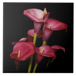 Elegant Lila Calla Lilies Fliese