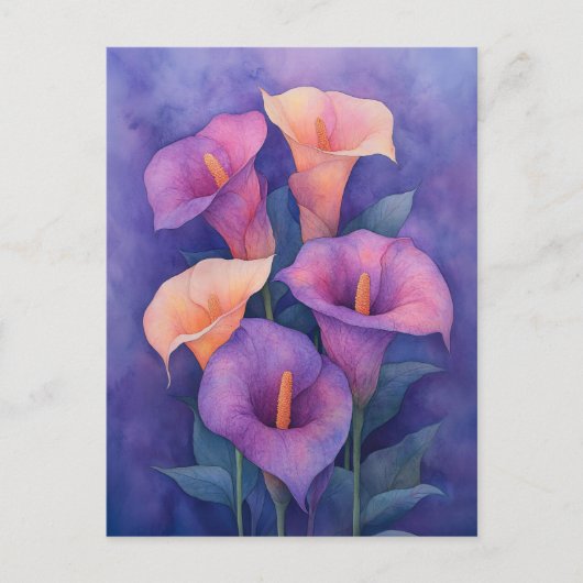 Elegant Lila Calla Lilies Postkarte (Vorderseite)