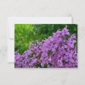 Elegant lila floral Lilac Save the Date (Rückseite)