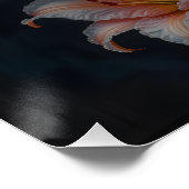 Elegant Lily Flower Art – Premium Prints & Unique  Poster (Ecke)