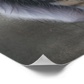 Elegant Long Haired Cat Poster (Ecke)