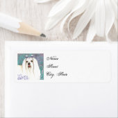 Elegant Maltese (Insitu)