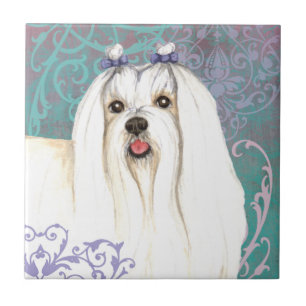 Elegant Maltese Fliese