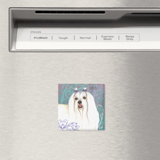 Elegant Maltese Magnet (In Situ (Geschirrspüler))