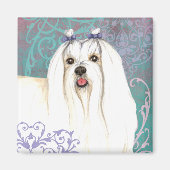 Elegant Maltese Magnet (Vorne)