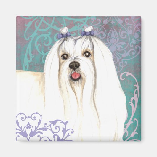 Elegant Maltese Magnet (Vorne)