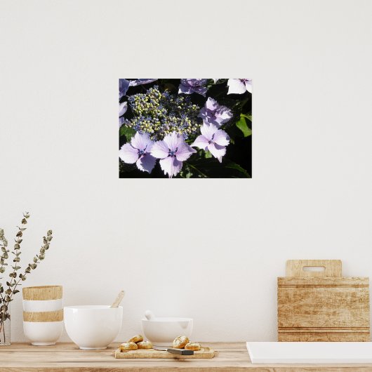 Elegant Mauve Hydrangeas Poster (Küche)