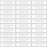 Elegant Modern Chic Wedding Guest Names Adresse Aufkleber<br><div class="desc">Besteht aus einfachen Sans Serif und moderner Serifentypografie. Diese Elemente sind einfach,  elegant und modern. Das hier hat 30 Aufkleber. Dieses wurde von White Paper Birch Co. exklusiv für Zazzle entworfen. Abrufbar unter: http://www.zazzle.com/store/whitepaperbirch</div>