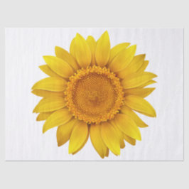 Elegant Modernes Floral Seidenpapier