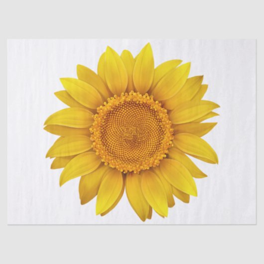 Elegant Modernes Floral Seidenpapier (Vorderseite)