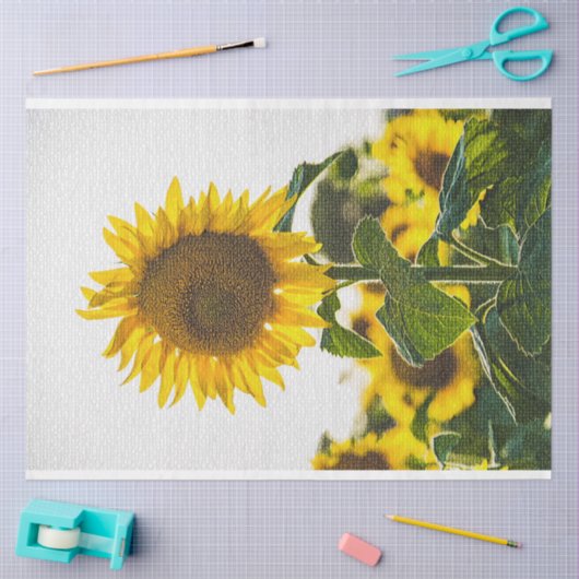 Elegant Modernes Floral Seidenpapier (Basteln)