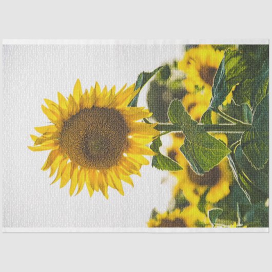 Elegant Modernes Floral Seidenpapier (Vorderseite)