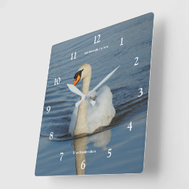 Elegant Mute Swan Waterbird am See Quadratische Wanduhr