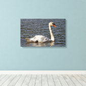 Elegant Mute Swans in Stanley Park Lagoon Leinwanddruck (Insitu (Holzboden))