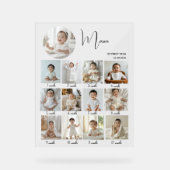 Elegant My First Year Collage Custom Photo Acrylschild (Vorderseite)