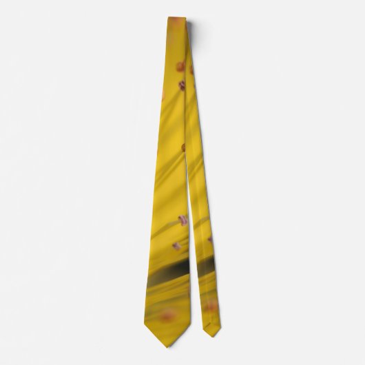 Elegant Neck Tie - Klassischer Stil Krawatte (Vorderseite)
