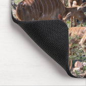 Elegant Nyala Antelope Wildlife Foto Mousepad (Ecke)