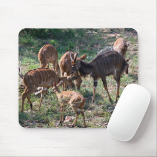 Elegant Nyala Antelope Wildlife Foto Mousepad