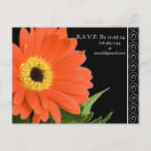 Elegant Orange Gerber Daisy Wedding Einladung (Rückseite)