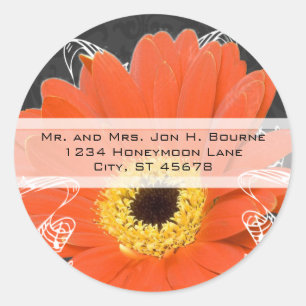 Elegant Orange Gerber Daisy Wedding Runder Aufkleber
