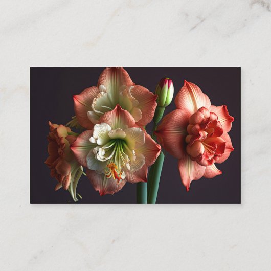 Elegant Orange White Amaryllis Blume Florist Visitenkarte (Rückseite)