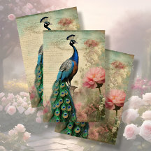 Elegant Peacock Floral French Ephemera