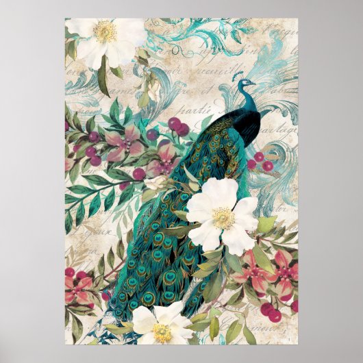 Elegant Peacock Poster (Vorne)