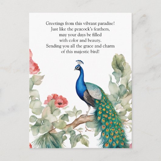 Elegant Peacock Postkarte (Vorderseite)