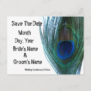 Elegant Peacock Save the Date Ankündigungspostkarte