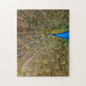 Elegant Peacock Schwanz Feathers Puzzle (Vertikal)