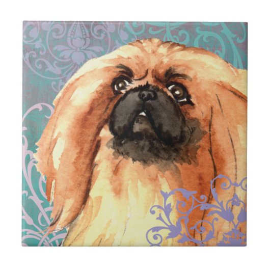 Elegant Pekingese Fliese (Vorderseite)
