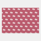 Elegant Pink Floral & Stripe Wrapping Paper Set Geschenkpapier Set (Vorderseite 2)