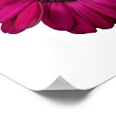 Elegant Pink Gerbera Daisy Poster (Ecke)