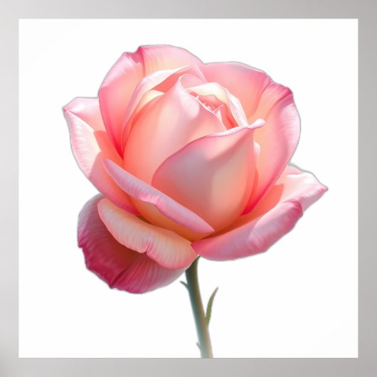 Elegant Pink Rose Blossom on Stem Poster (Vorne)
