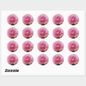 ELEGANT PINK ROSE RUNDER AUFKLEBER (Blatt)