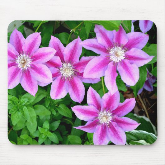 Elegant pinkfarben grün, botanisch mousepad (Vorne)